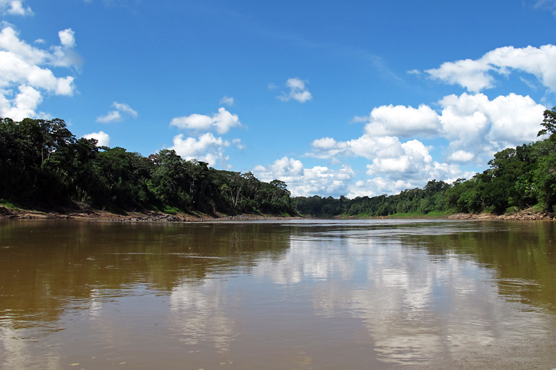 The Muddy Looking Tambopata River jpg